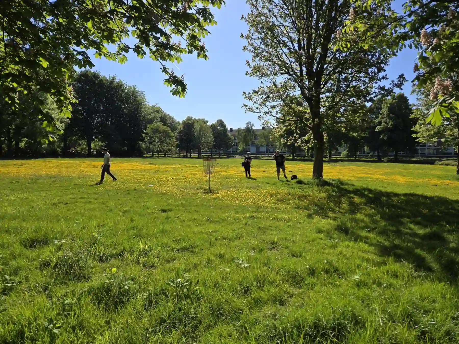 Foto van de Eindhoven discgolf course 4